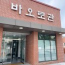 성당시장 공영주차장 옆 네이버블로그
