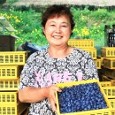 우원농장 이미지