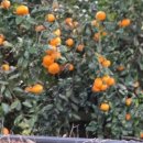 이슬농원 이미지