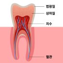 잠실원치과의원 이미지