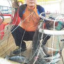 황금좌대 이미지