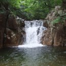 (주)대림화평