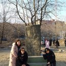 항일독립운동기념비 이미지