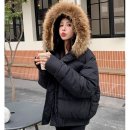 콜린느