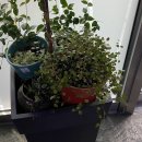 수경빨래방 이미지