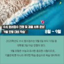 영어를강의하는아이들학원