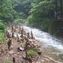 달둔소낭펜션 이미지