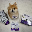 새롬메디 이미지