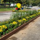 배다리생태공원 이미지