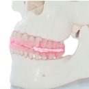 일미치과의원 이미지