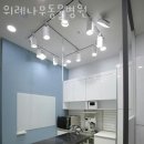 나무동물병원 이미지