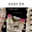 조인트한의원 이미지