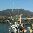 군산 연도항 뉴스1