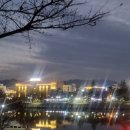 새동촌식당 이미지