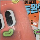 도안커넥트영어 | 대전 도안커넥트영어 고등대비반 수강 후기 입시 준비 제대로 하는 학원 믿고 맡길 수 있어요