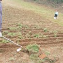 문경게이트볼장 이미지