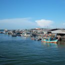 도장포어촌체험마을 이미지