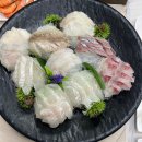 부부활어회센터 | [속초/식당] 속초 대포항 횟집 “부부활어회센터”
