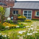 채송화펜션 이미지