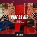 라이프짐MMA 이미지