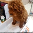 남창원동물병원 이미지