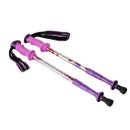 라이프스포츠 이미지