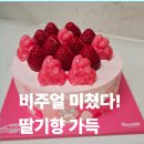 베스킨라빈스31양주 | 베스킨라빈스 마이멜로디 케이크 후기 귀엽다못해 먹기 아까운 한정판 리얼리뷰 2025