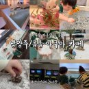 시도 경춘로 | 남양주 폼폼 아쿠아카페 내돈내산 ‘주말’ 후기｜아이랑 가기 좋은 체험형 인스타 핫플 카페