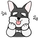 마드레펫 이미지