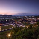 영천오이소 이미지