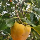 명례성지화장실 이미지