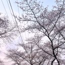 회현1길 이미지