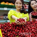 체리마트 이미지
