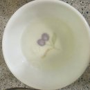 파스타집브런치집 | [우삼겹 파스타 레시피] 집에서 만든 홈브런치 메뉴 후기