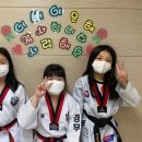 경희대 정 태권도 이미지