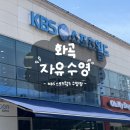 서울 강서구 KBS스포츠월드 50m 수영장 주말 토요일 자유수영 후기