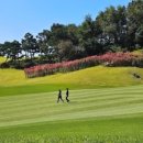 다옴홀딩스 주식회사