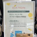 1865 | 페스츄리 도우 피자와 한식 파스타가 맛있는 가림소담(대전 만년동/한밭수목원 맛집, 내돈내산, 데이트...