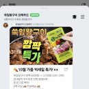 돼갈 광인 여시 추천 1팩 3,700원 이미지