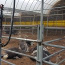 시원농장 이미지