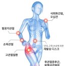 오늘 병원에서 9가지 검사를 받은 후에.. 이미지