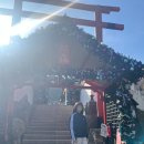 네코모리 | 니지모리 스튜디오 11월 말 방문 후기