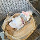 꿈의숲 라포레스타 | 북서울 꿈의숲 라포레스타 럭키도 갈 수 있어!