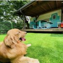 즐거운드라이세상 이미지