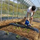 한희농장 이미지