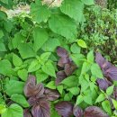 가평옛길 이미지