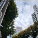 달구벌신협 스포랜드 이미지