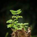 고신대학교 대학원 이미지