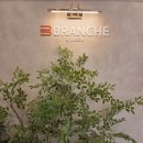 경기도 수원시 팔달구 권광로188번길 23 (인계동) | 수원 인계동 샌드위치 맛집 브랑슈 카페 인계점 30cm BLT 샌드위치 후기