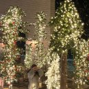 모아 | [포항/우현동] 눈 내리는 예쁜 빈티지 베이커리 카페 "슈슈모아" 방문 후기